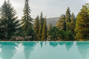 A swimming pool surrounded by tall trees and a mountain in the background.