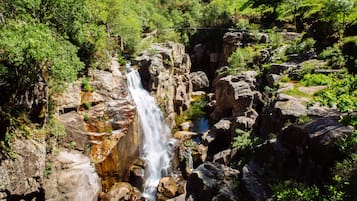 A waterfall cascading over rocky terrain surrounded by lush greenery.