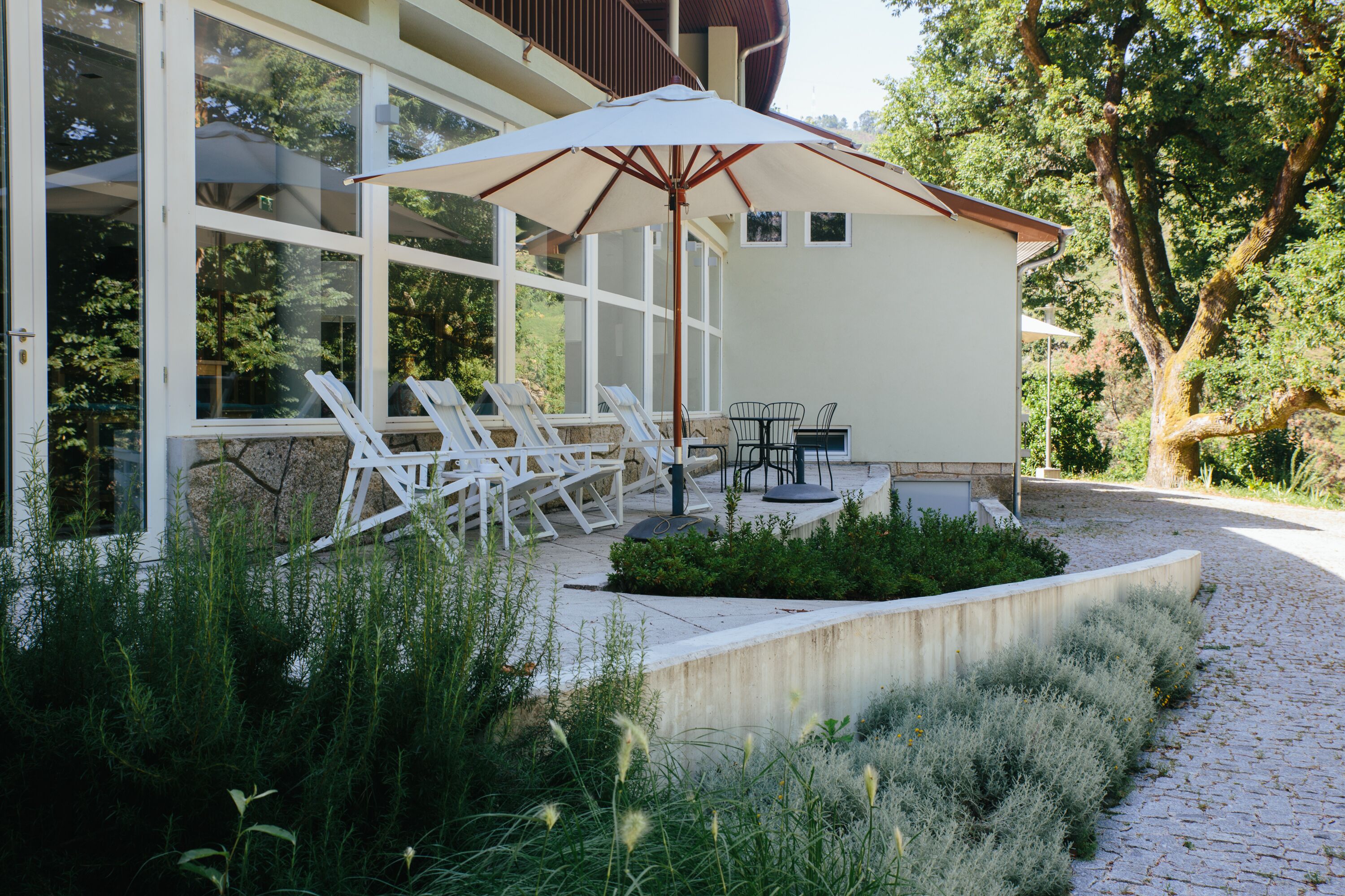 A modern outdoor seating area with white lounge chairs and a table under a large umbrella, surrounded by greenery and a cobblestone path.