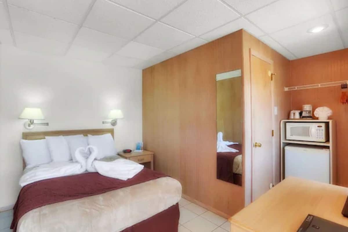 A hotel room with a bed, bedside table, lamp, microwave, and a small refrigerator.
