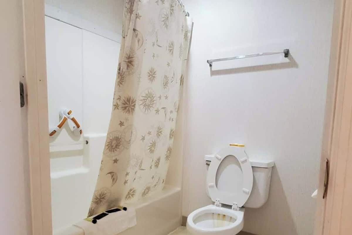 Traditional Single Room, 1 King Bed, Non Smoking | Bathroom | Combined shower/bathtub, free toiletries, hair dryer, towels
