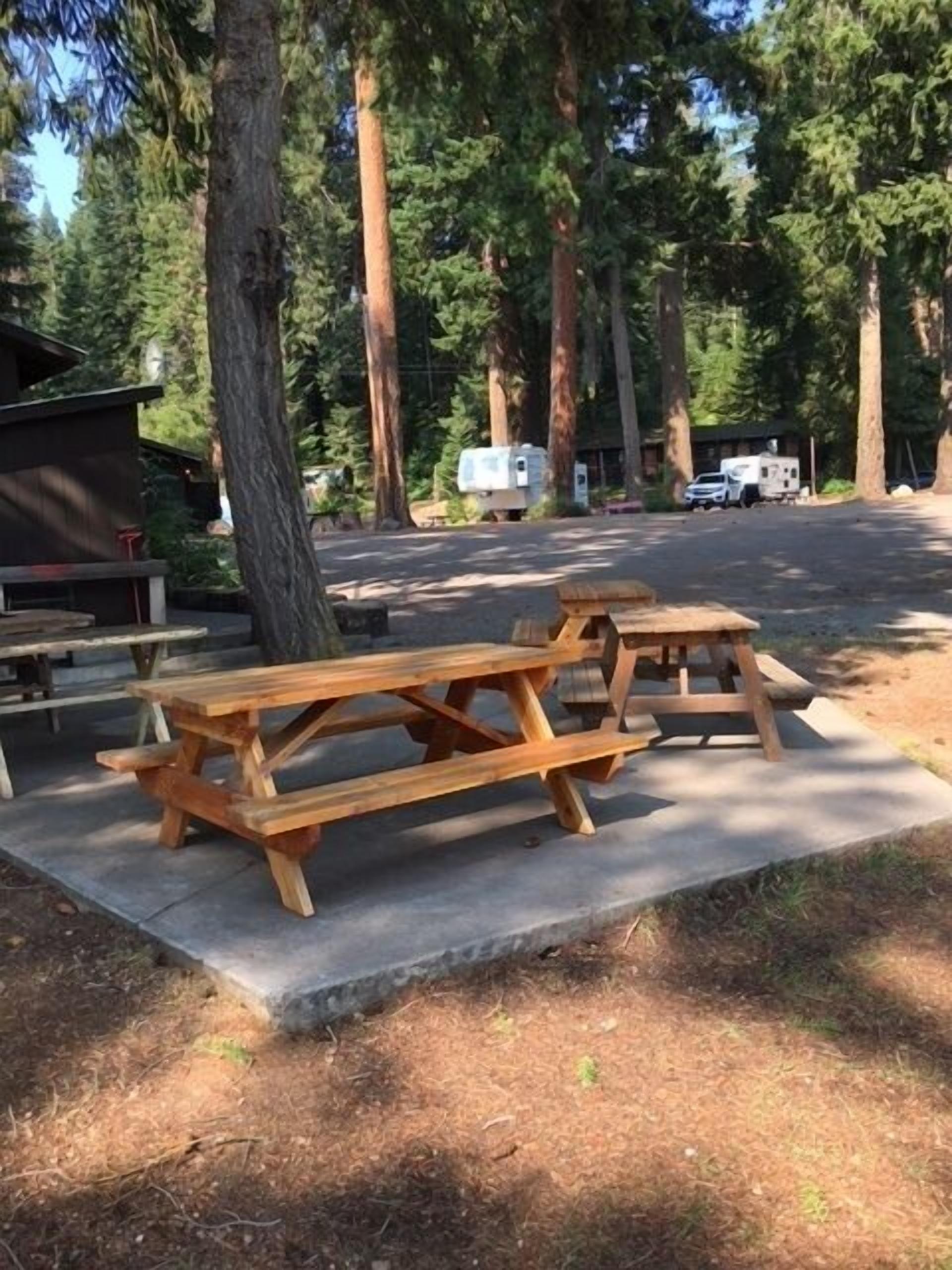 Un camping con mesas de picnic y vehículos recreativos.