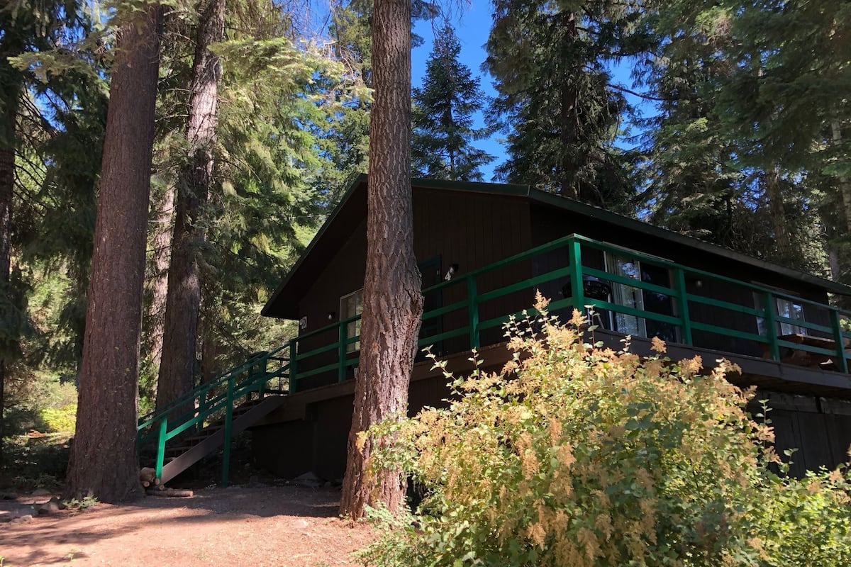 A cabin with a green staircase leading up to a deck, surrounded by tall trees.