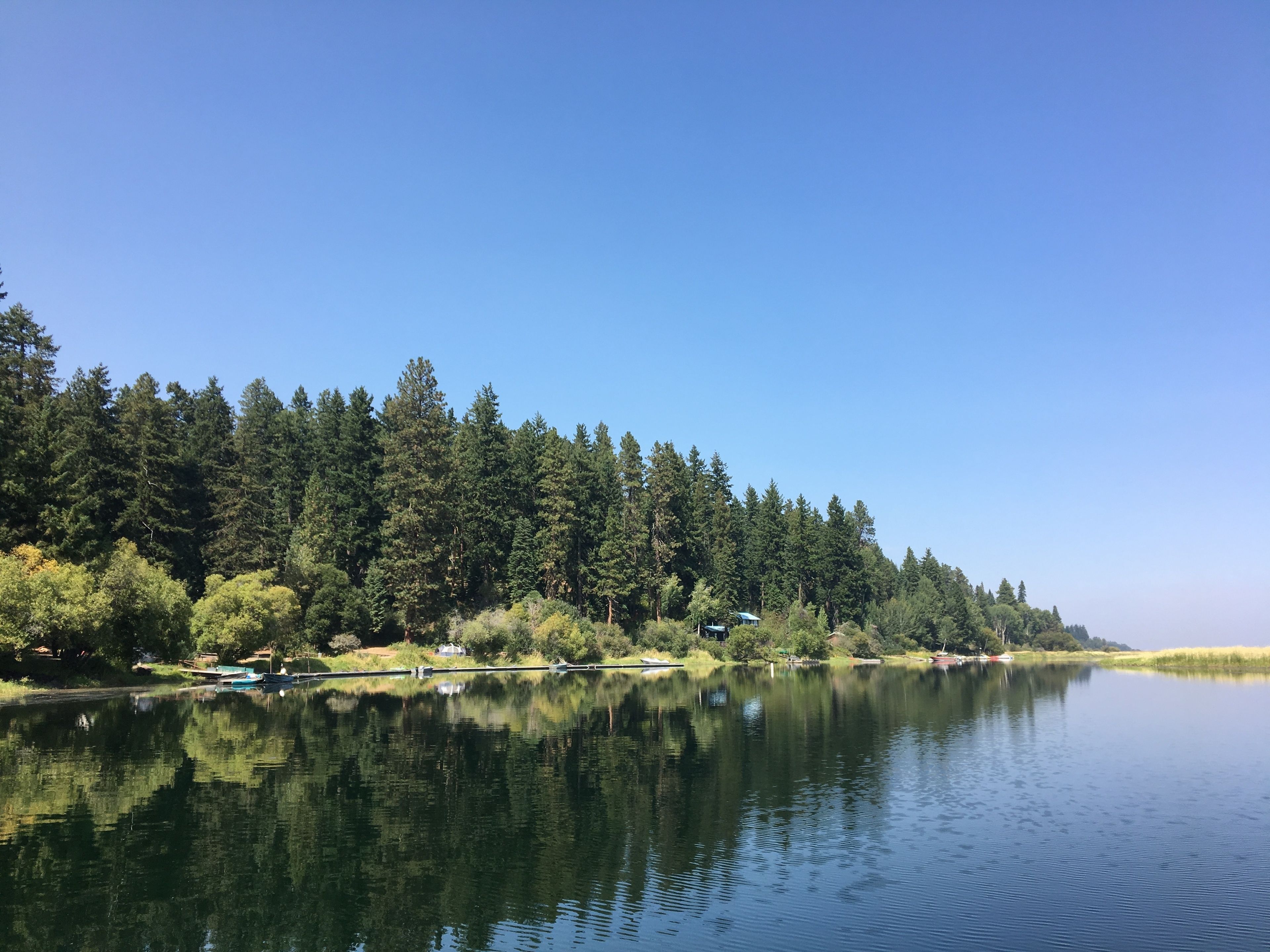 A calm lake with a forested shoreline, boats, and a clear sky.