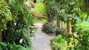 A stone pathway flanked by lush greenery and a wooden pergola with hanging vines.