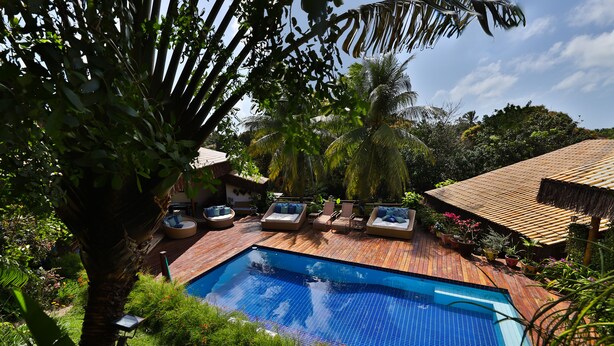 A swimming pool with lounge chairs and a wooden deck, surrounded by lush greenery and palm trees.