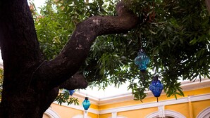 A tree with hanging blue lanterns in a yellow building with white arches. - Hotel La Casona de Don Jorge (Colima)