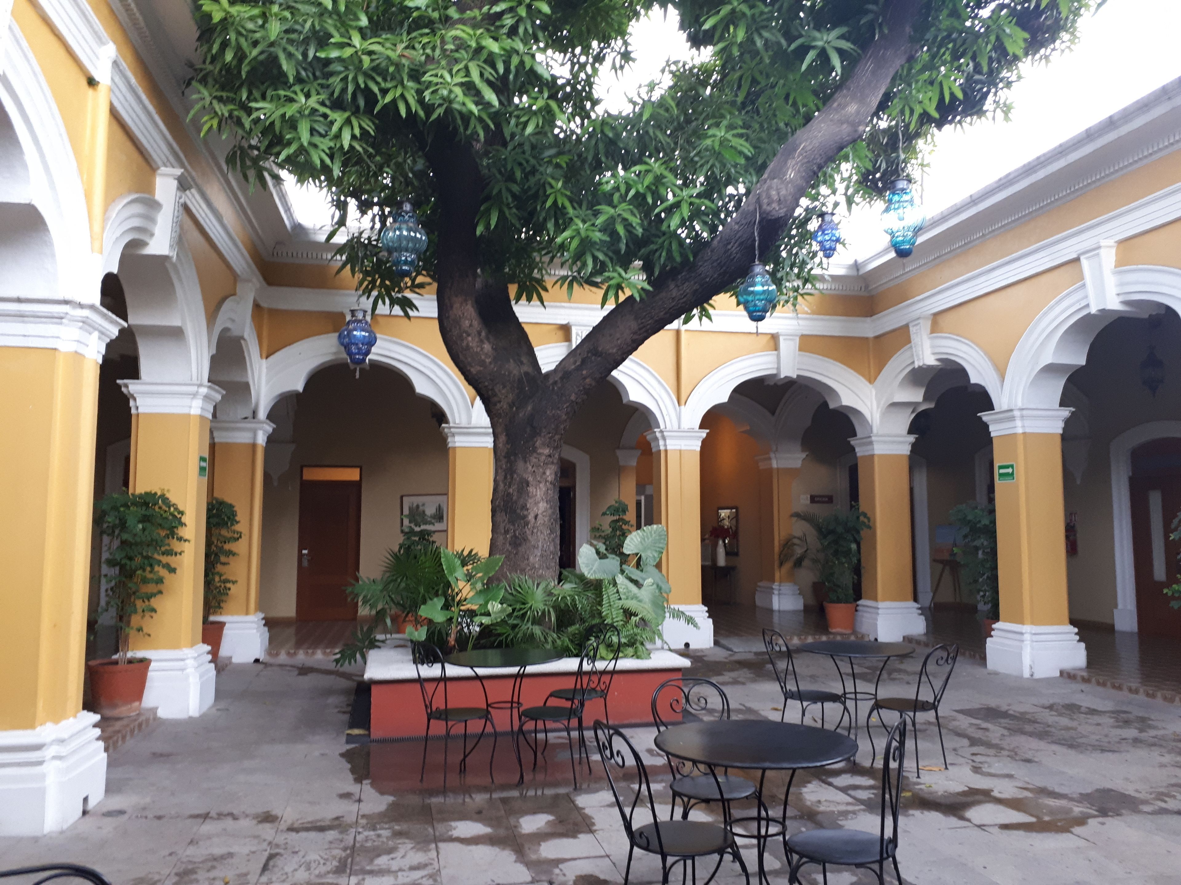 Une cour avec un grand arbre, des colonnes blanches et des sièges extérieurs.