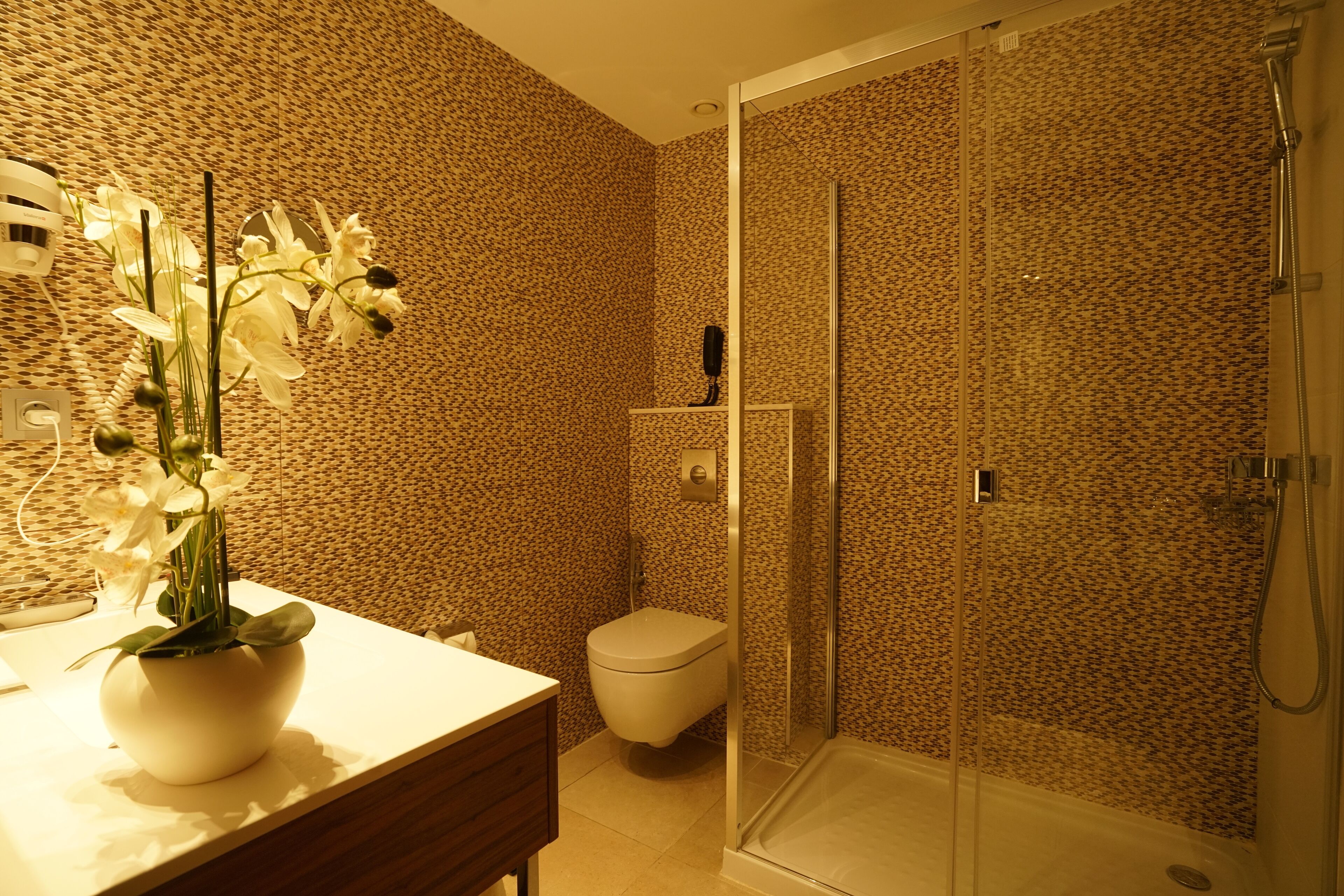 shower, free toiletries, hair dryer, towels