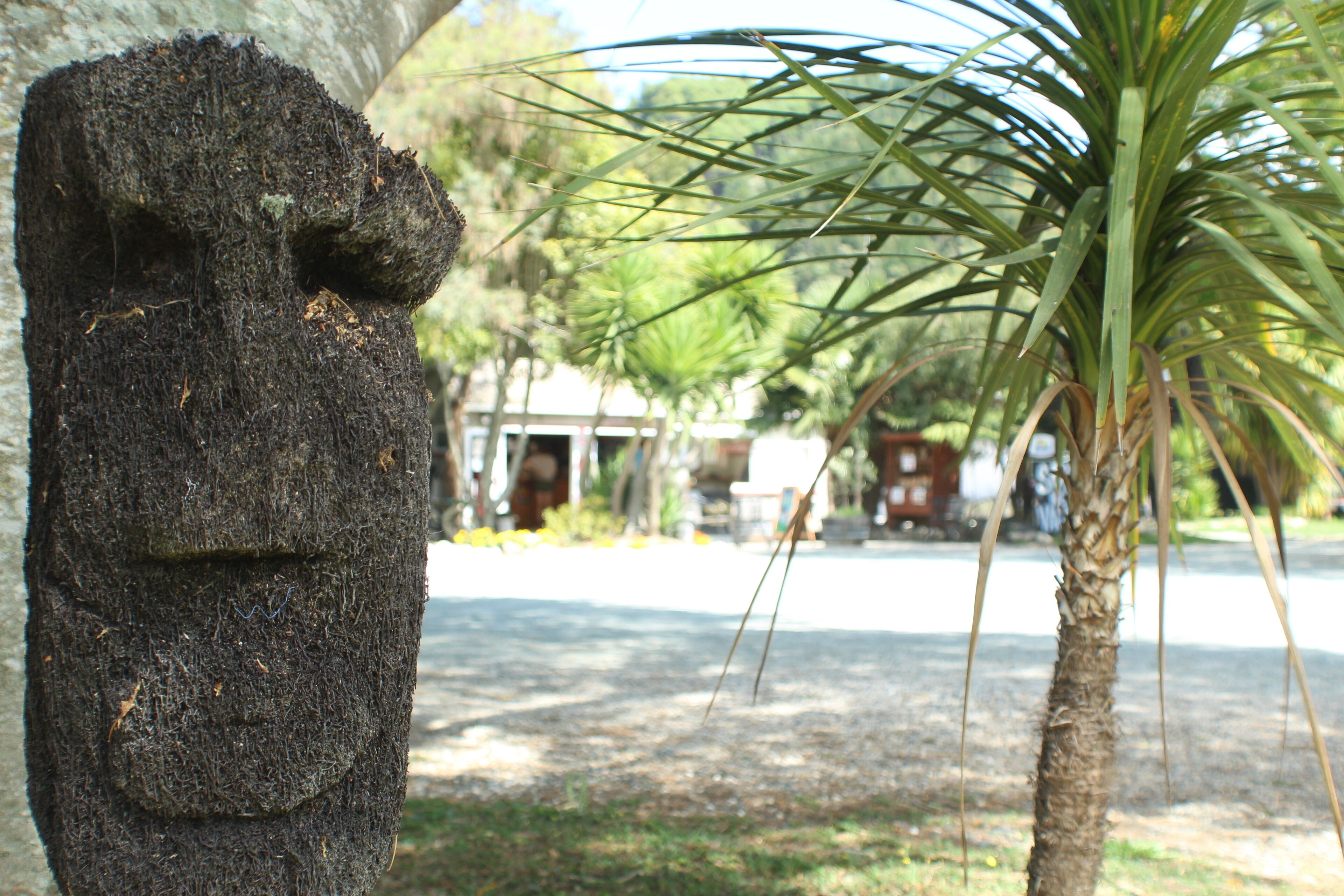 A stone face statue, a palm tree, and a building in the background.