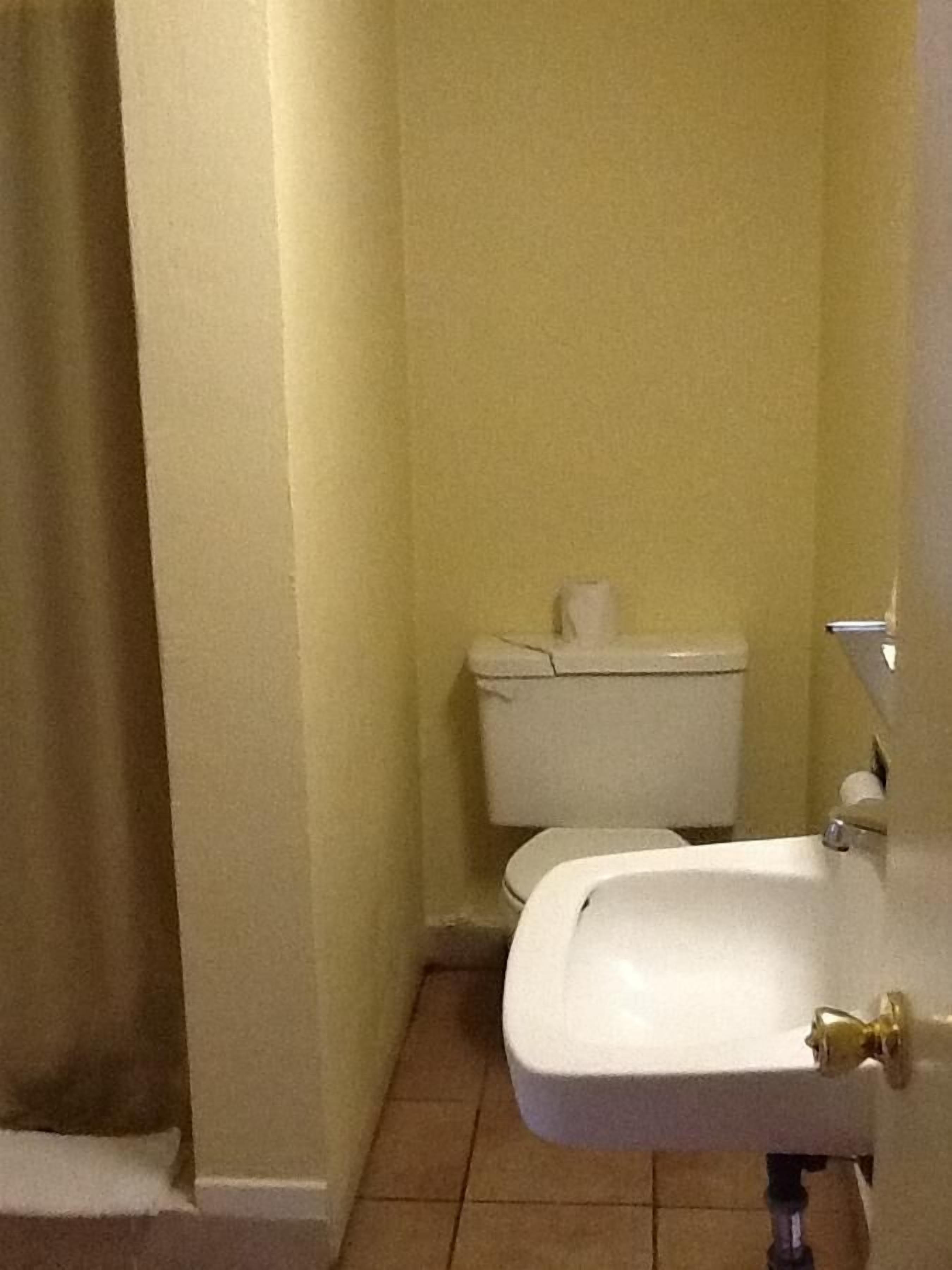 Un baño con lavamanos blanco, inodoro y cortina de ducha.