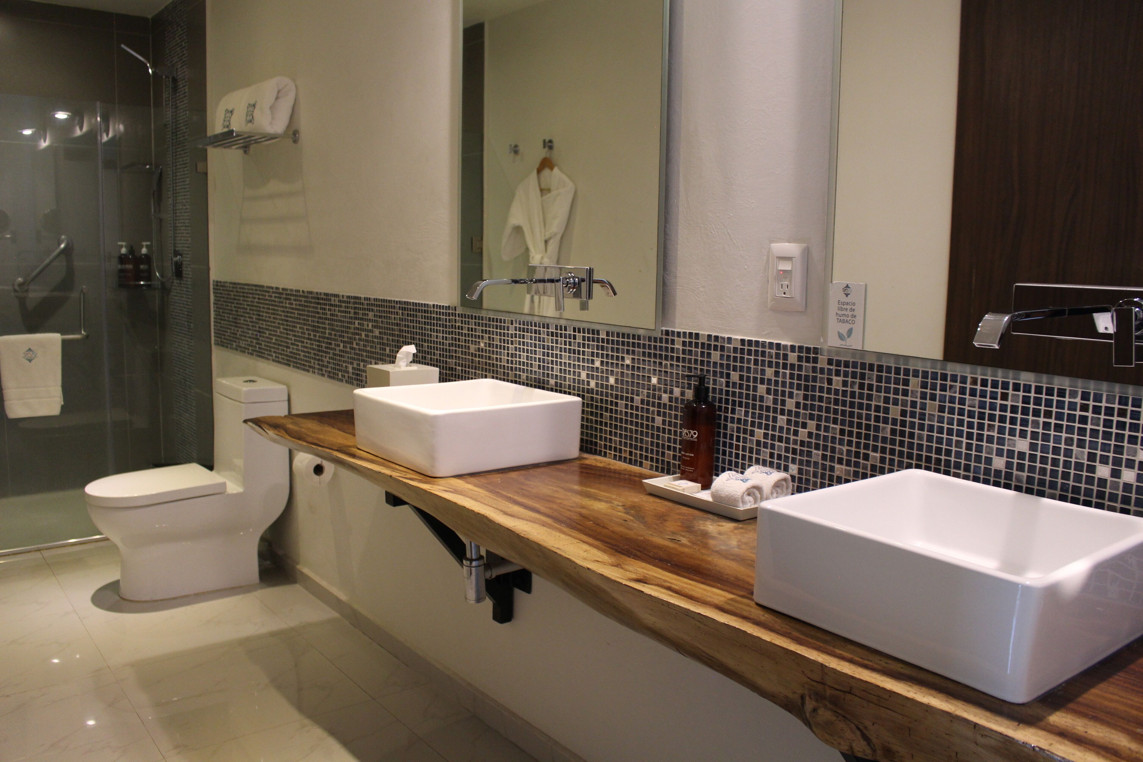 deluxe king room | bathroom | shower, free toiletries, hair dryer, bathrobes