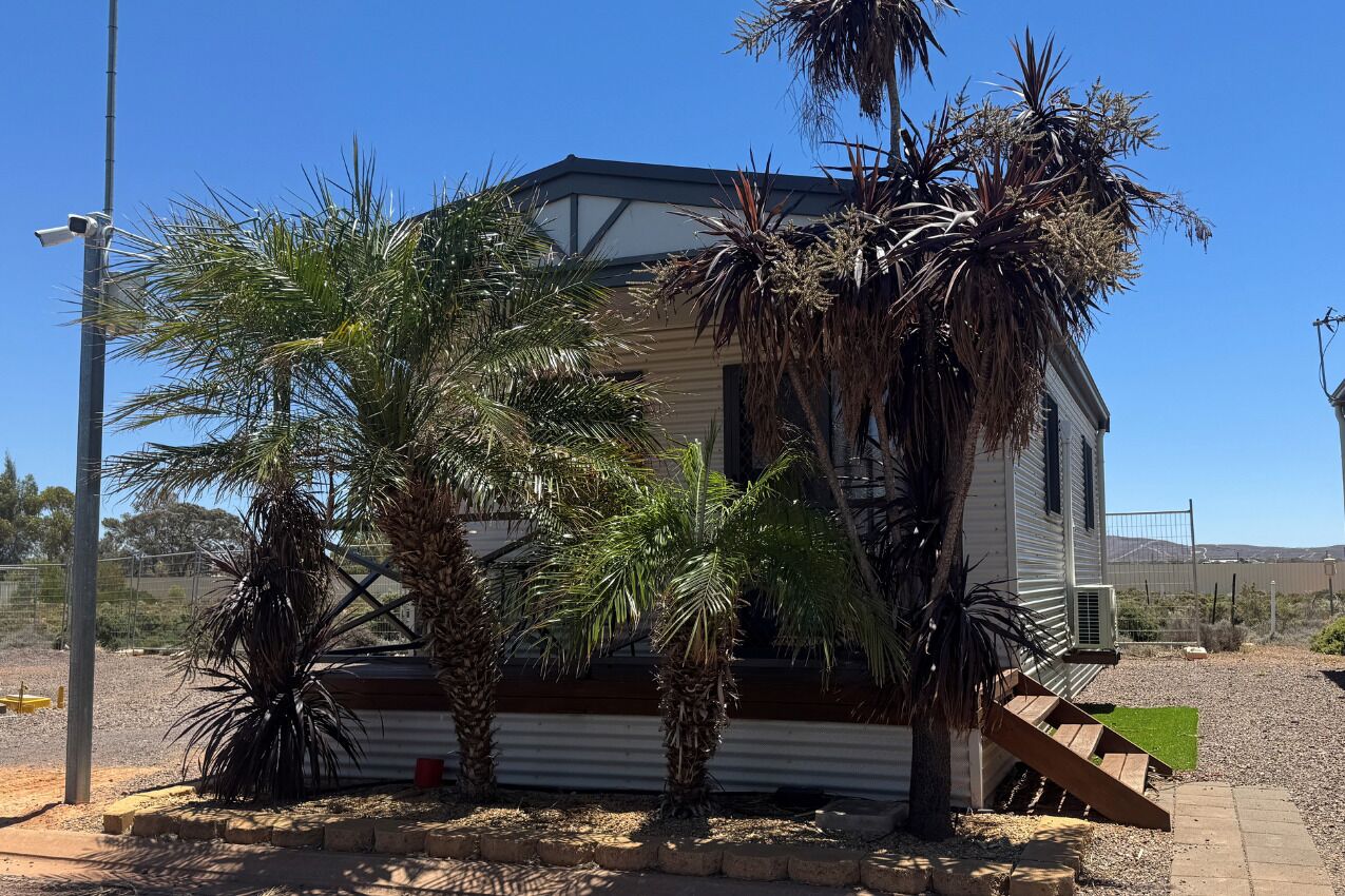 A single-story house with a sloped roof, surrounded by palm trees and a small yard.