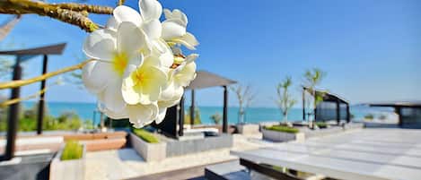 A modern outdoor seating area with a clear view of the ocean, featuring a white flower in the foreground.