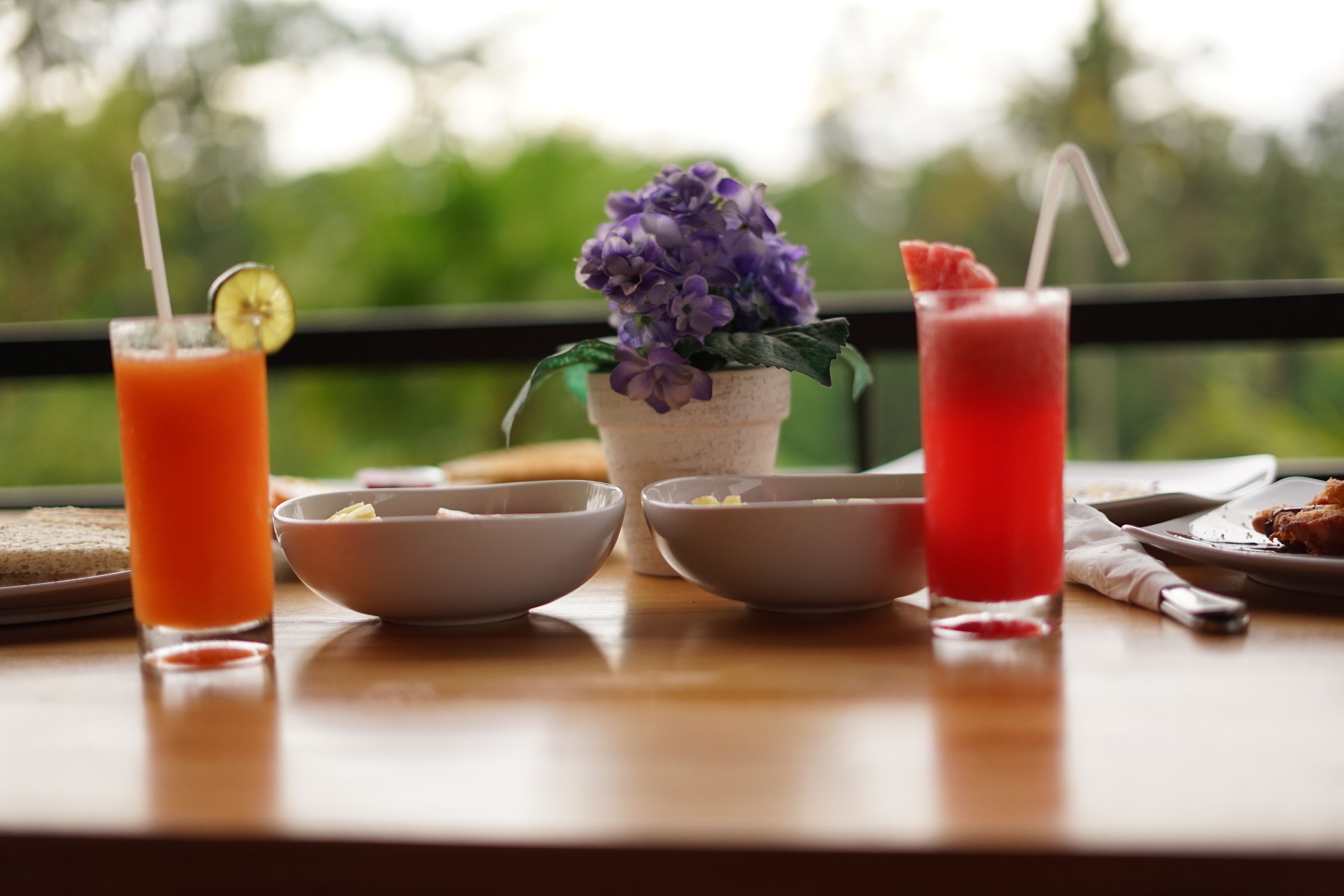 A table with two bowls, a potted plant, and two drinks with straws.
