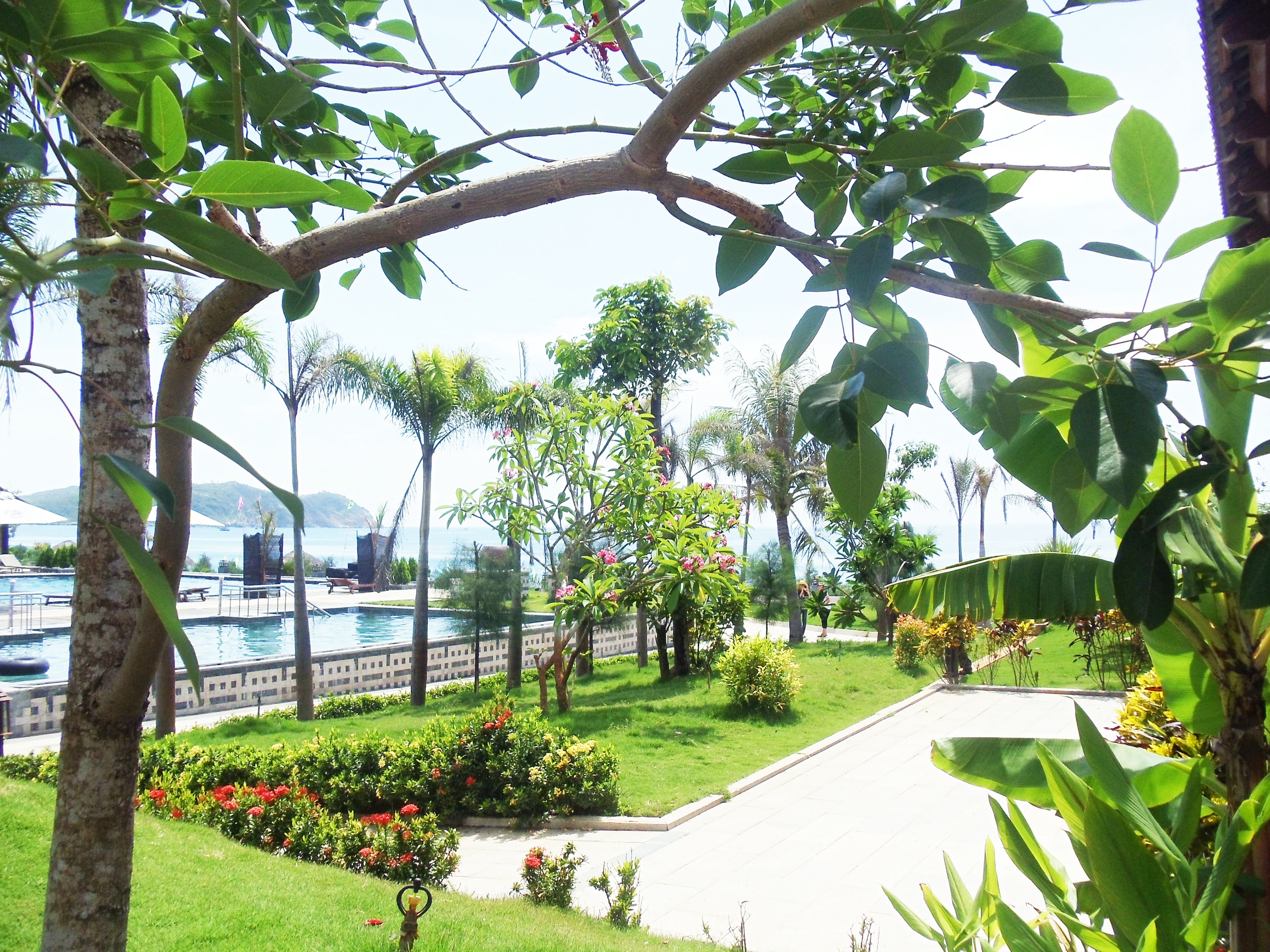 A pool area with a clear view of the water, surrounded by lush greenery and a pathway leading to a building.