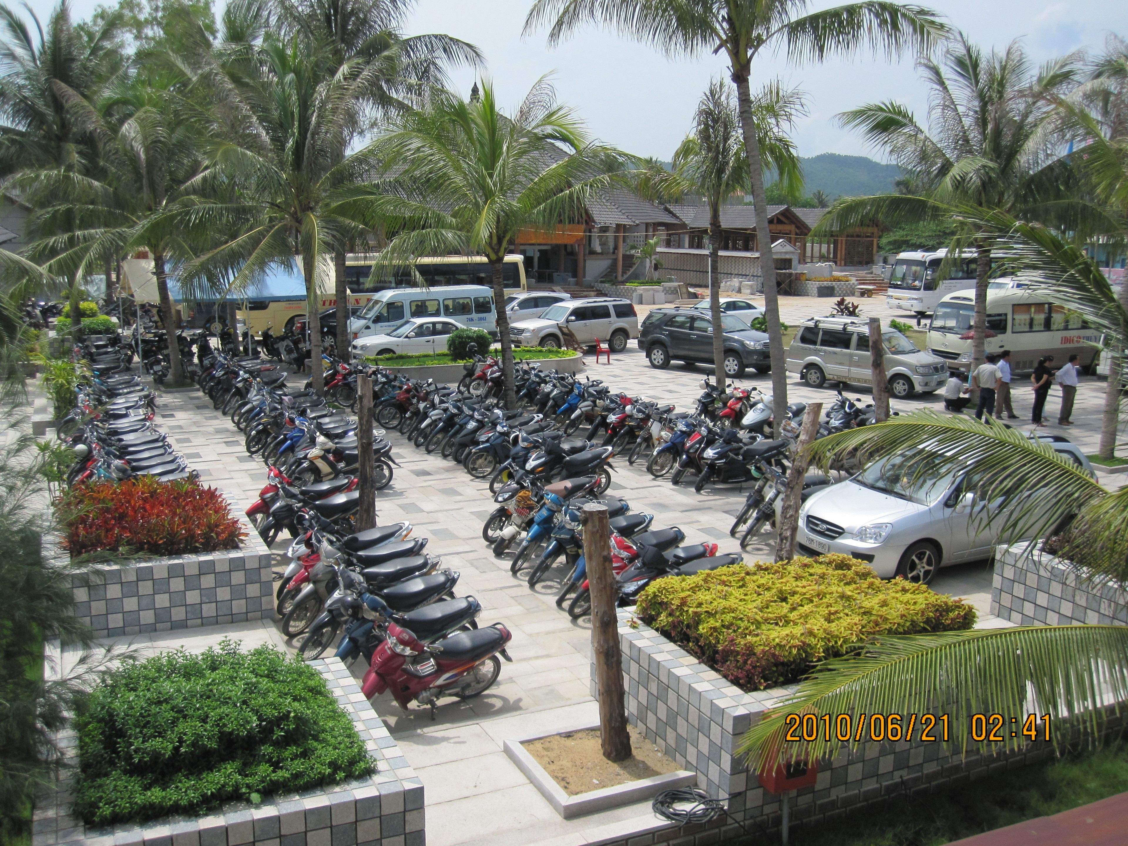 Un estacionamiento con numerosas motocicletas y automóviles estacionados, rodeado de palmeras y follaje.