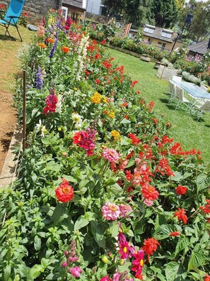 Exterior - Lakeside Cottages (Nuwara Eliya)