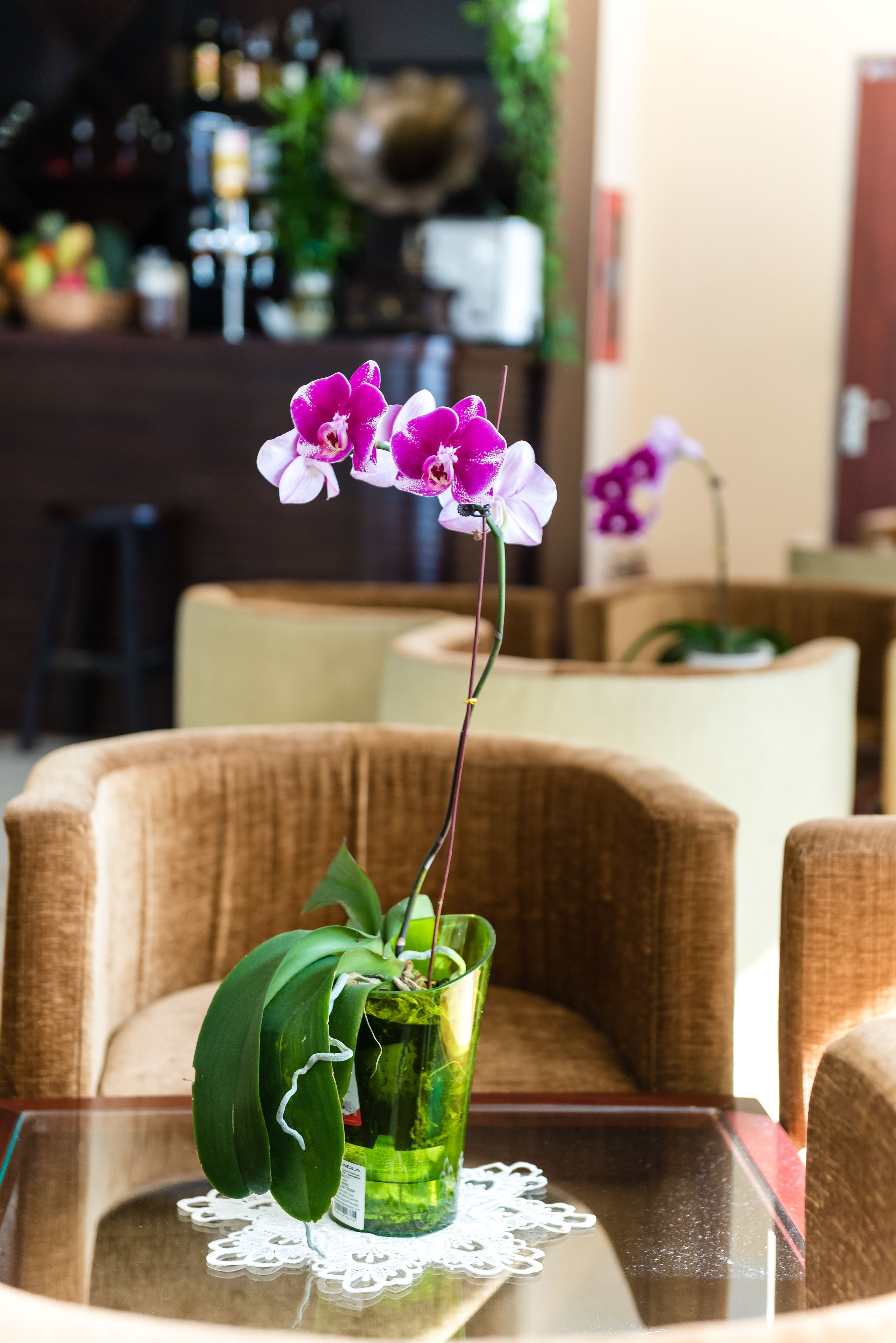 A green orchid in a glass vase on a glass table with a lace doily.