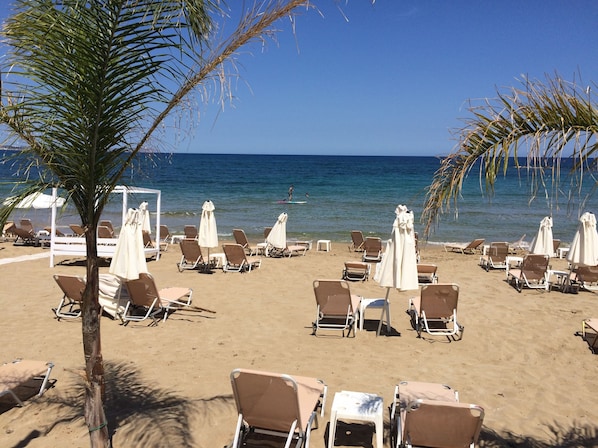 Ein Strand mit Liegestühlen, Sonnenschirmen, einer Palme und dem Meer im Hintergrund.