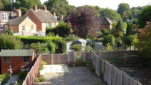A residential garden with a gravel path, wooden fence, and various plants.