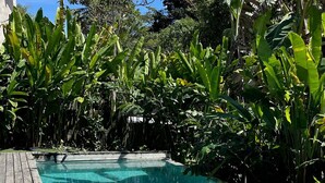 A clear swimming pool surrounded by lush greenery and wooden deck chairs. - Biribandos Rooms by Trancoso House (Porto Seguro)