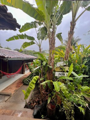 Property grounds - Biribandos Rooms by Trancoso House (Porto Seguro)