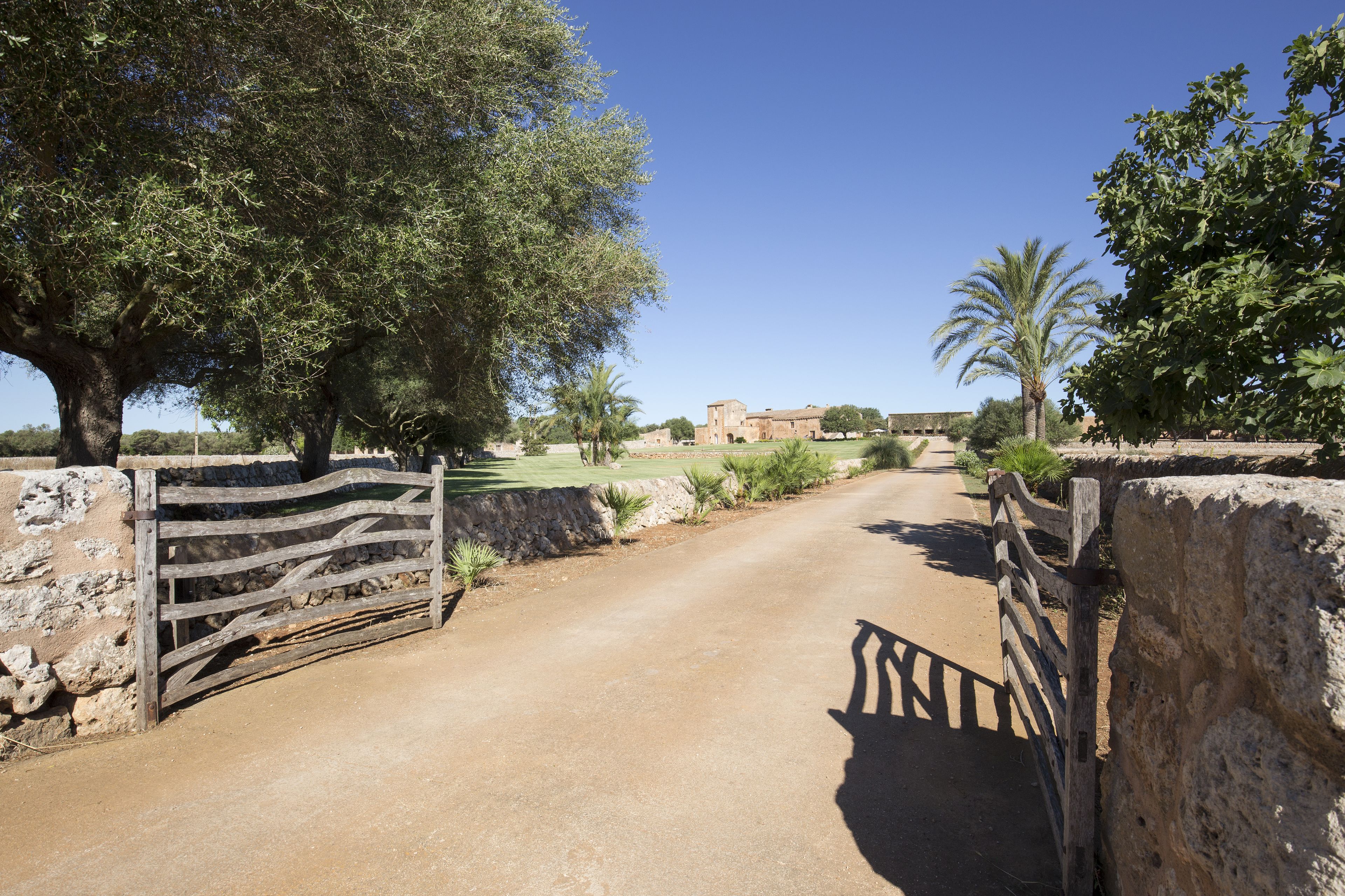 Foto - Hotel Son Cosmet