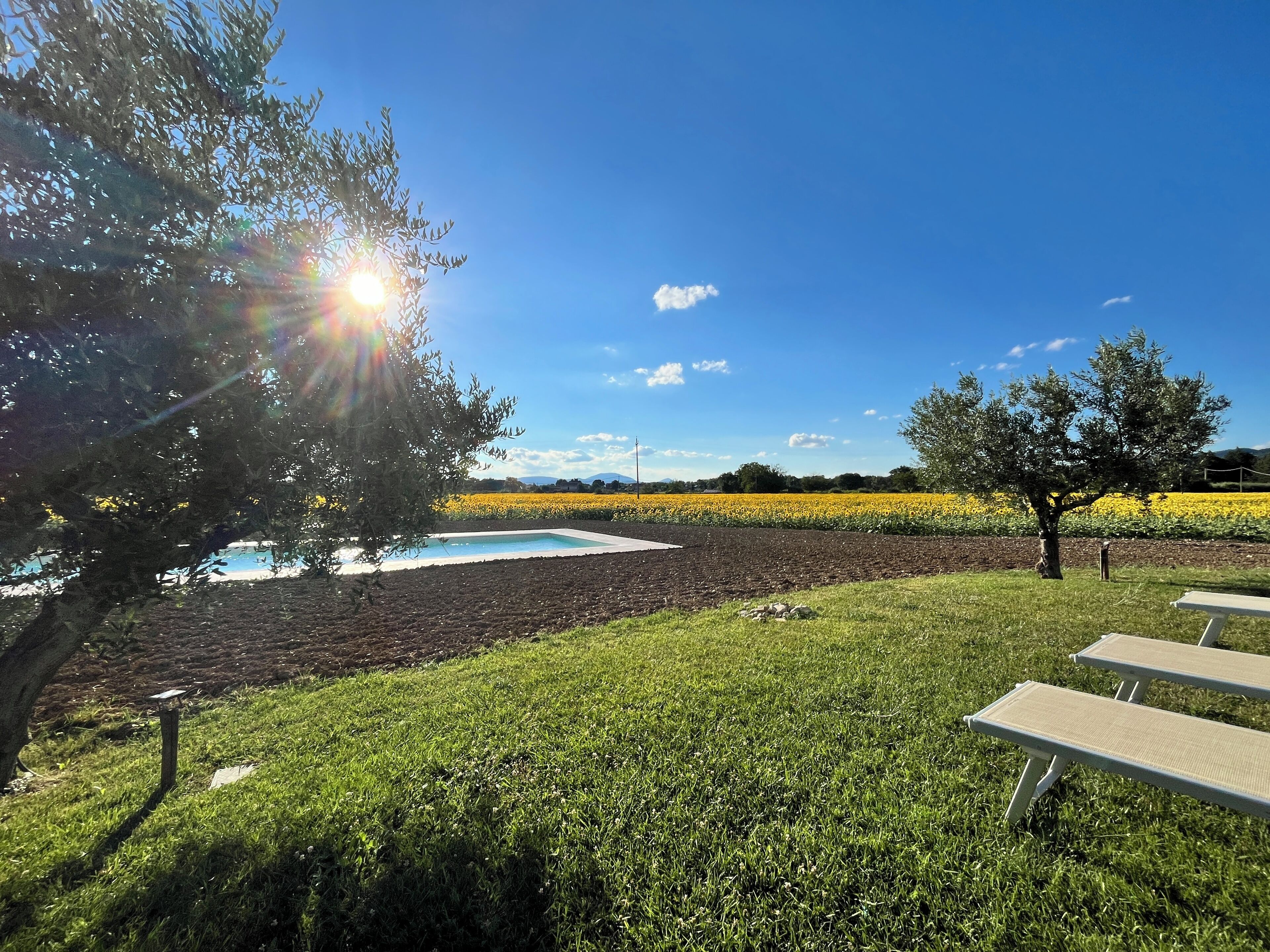 Seasonal outdoor pool, open 10:00 AM to 8:00 PM, pool umbrellas