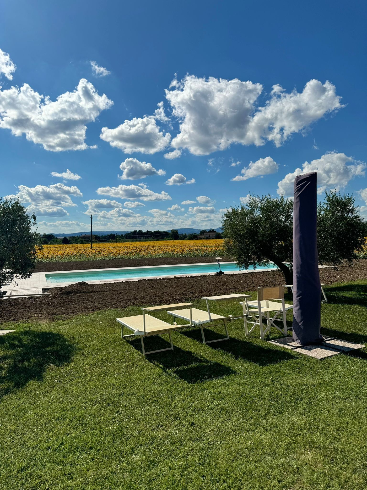 A pool area with a clear sky and clouds, surrounded by grass and a field of yellow flowers.