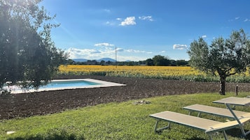 Alberca al aire libre por temporada y sombrillas en la alberca
