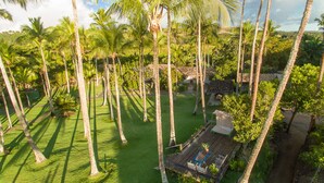 Een tropisch resort met palmbomen, een houten terras en een klein gebouw met een pannendak.