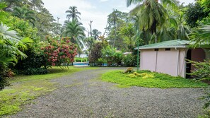 A gravel path leading to a building with a green roof, surrounded by lush tropical vegetation and palm trees.