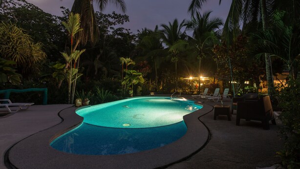 A swimming pool surrounded by lounge chairs and palm trees, with a moon in the sky.
