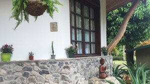 A stone wall with a window and hanging plants.