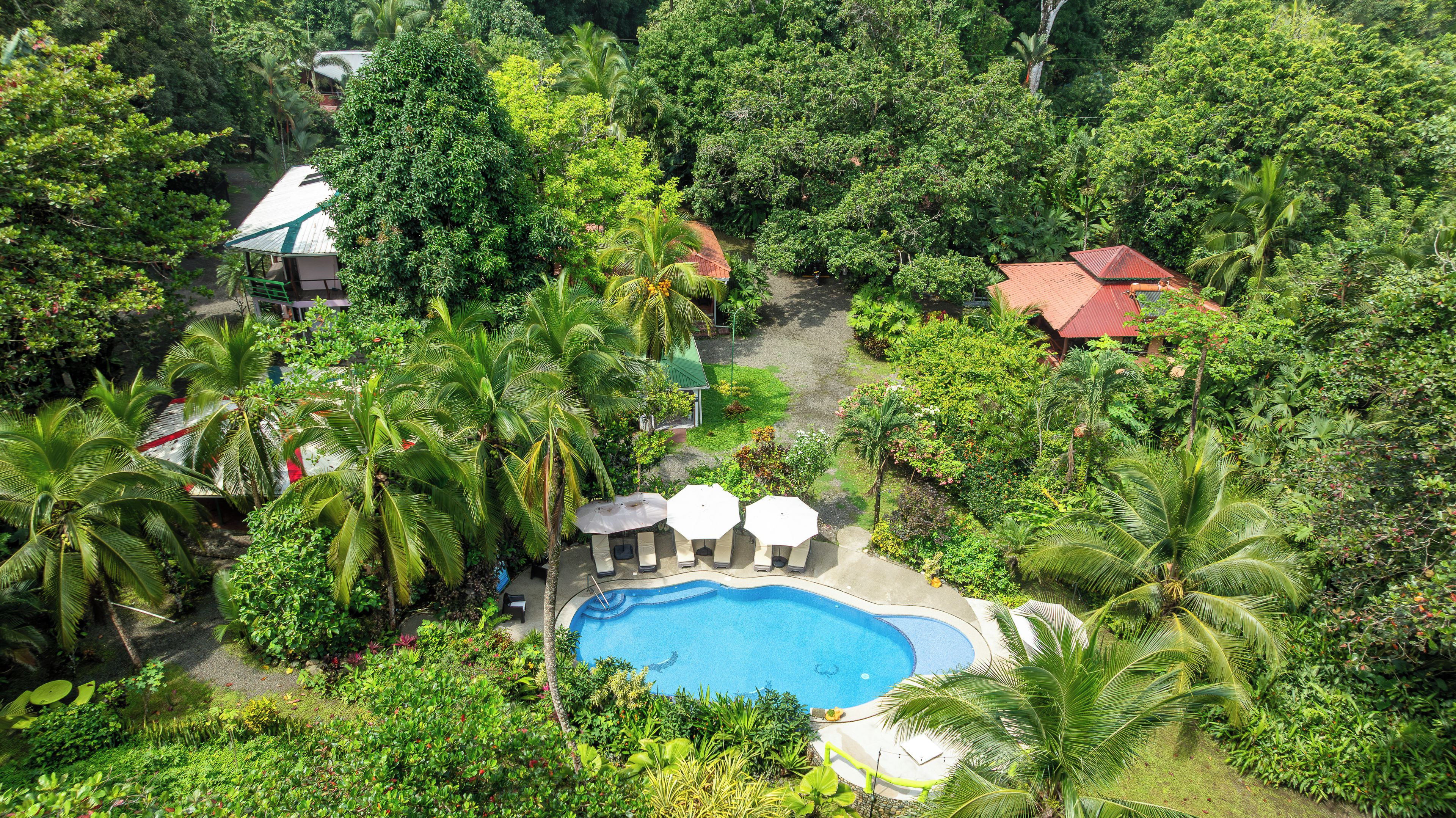 Photo - La Diosa Nature Lodge