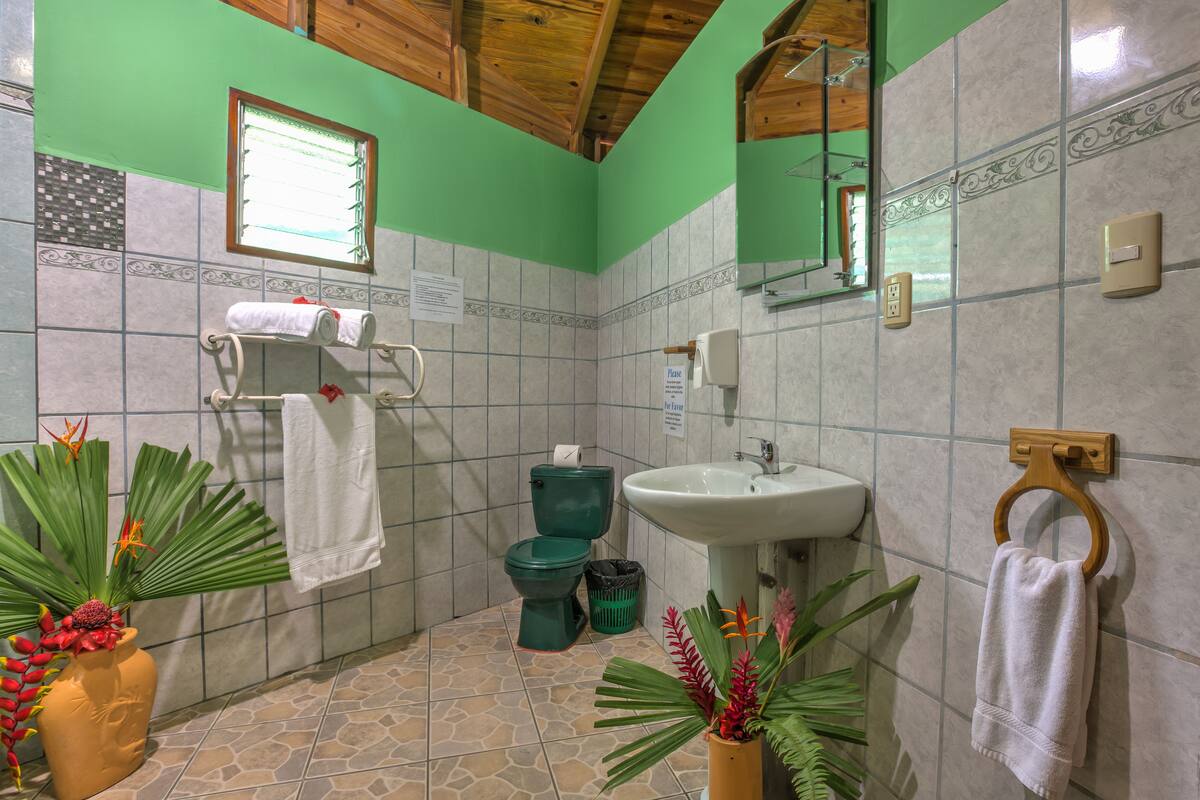 standard twin room | bathroom | hair dryer, towels