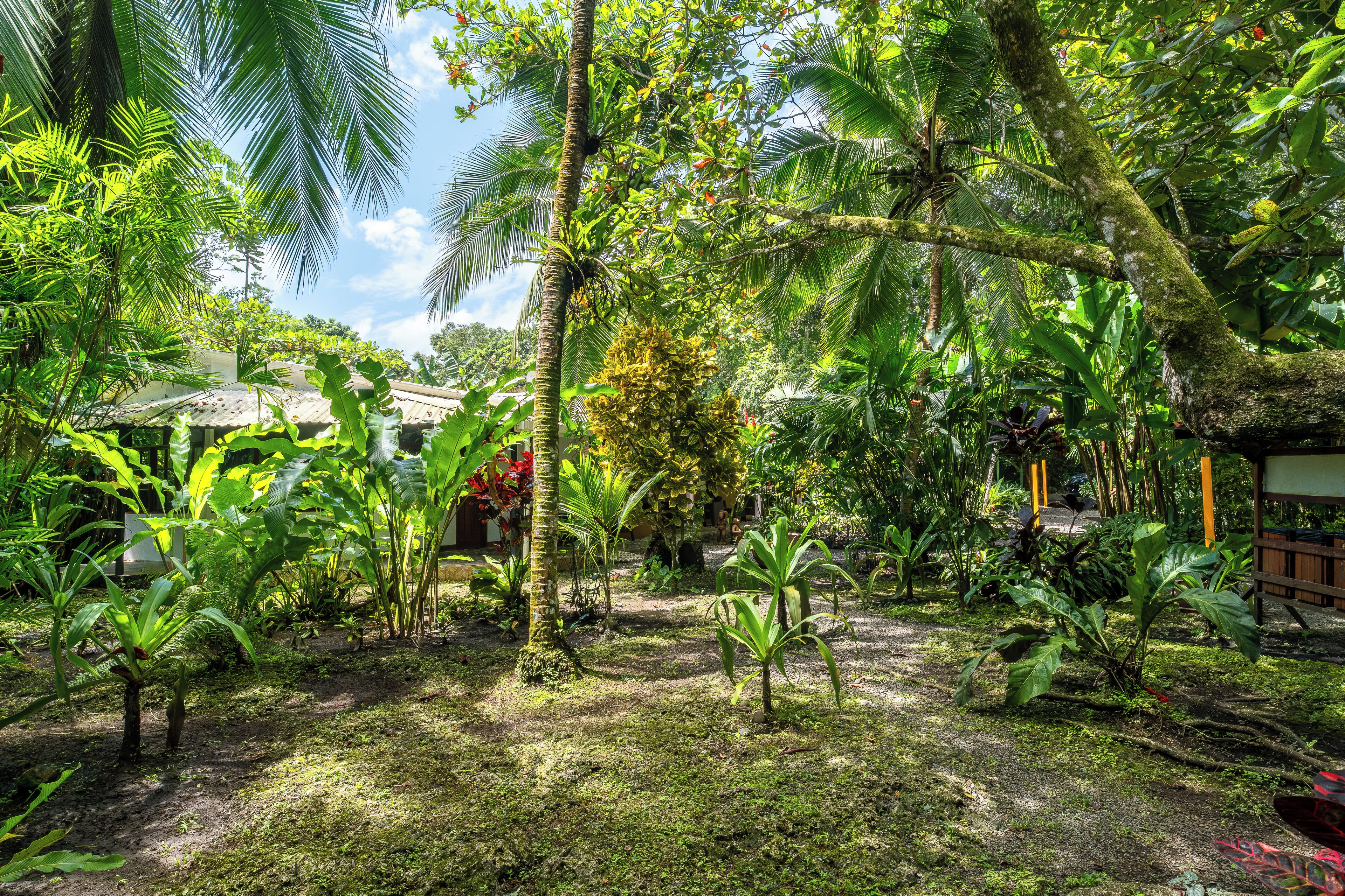 Photo - La Diosa Nature Lodge