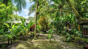 Um jardim exuberante com diversas plantas e árvores tropicais, uma estrutura de madeira e céu claro.