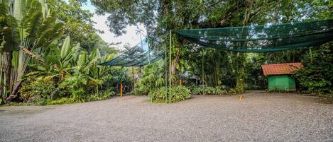 A gravel path leading to a building with a red roof, surrounded by dense tropical vegetation and shaded by green canopies.
