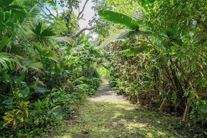 A narrow, unpaved path surrounded by dense tropical foliage. - La Diosa Nature Lodge (Cahuita)