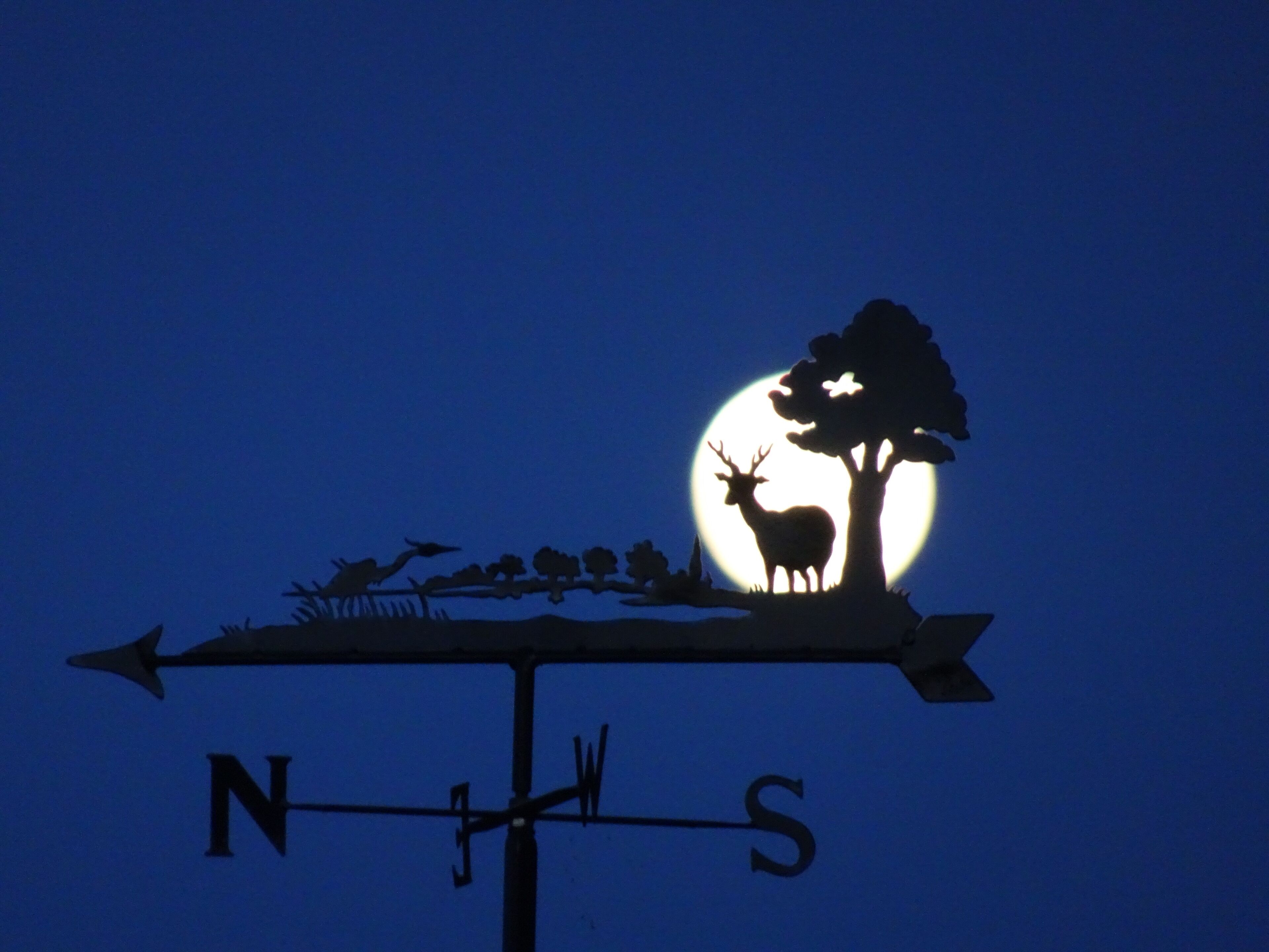 A compass with a deer silhouette and a tree in front of a full moon.
