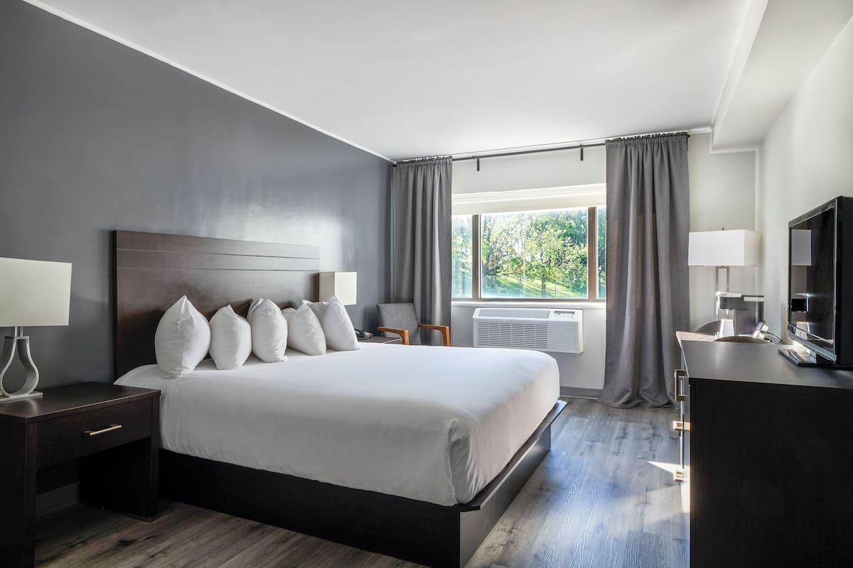 Standard Room, 1 King Bed