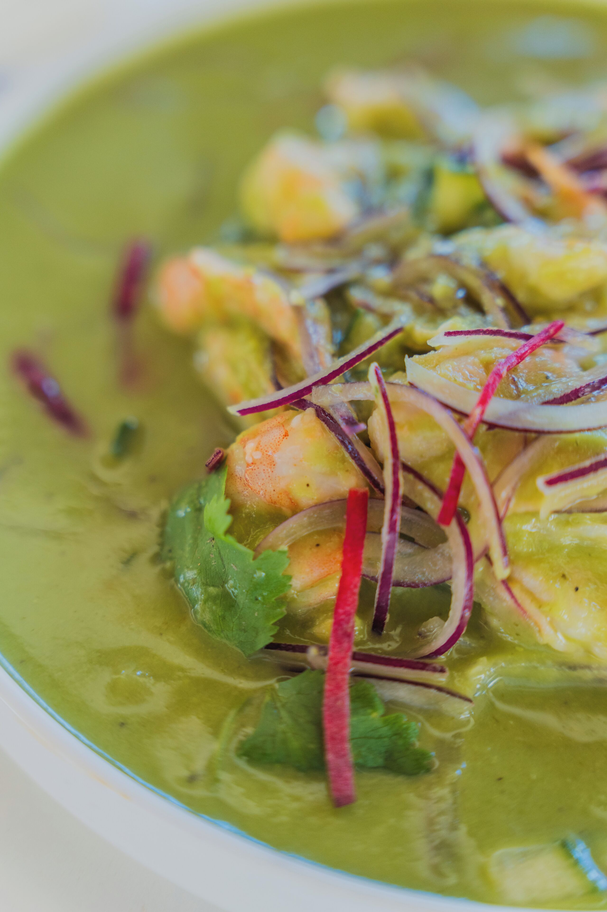 A bowl of soup with visible ingredients like shrimp and herbs.