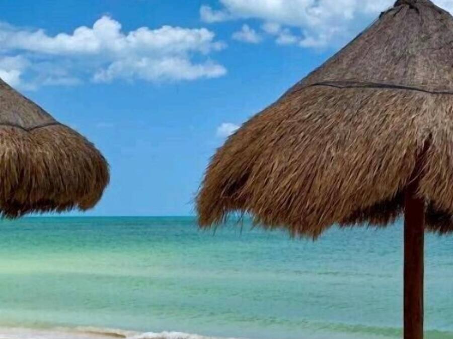 En la playa, arena blanca, traslado desde/hacia la playa gratis