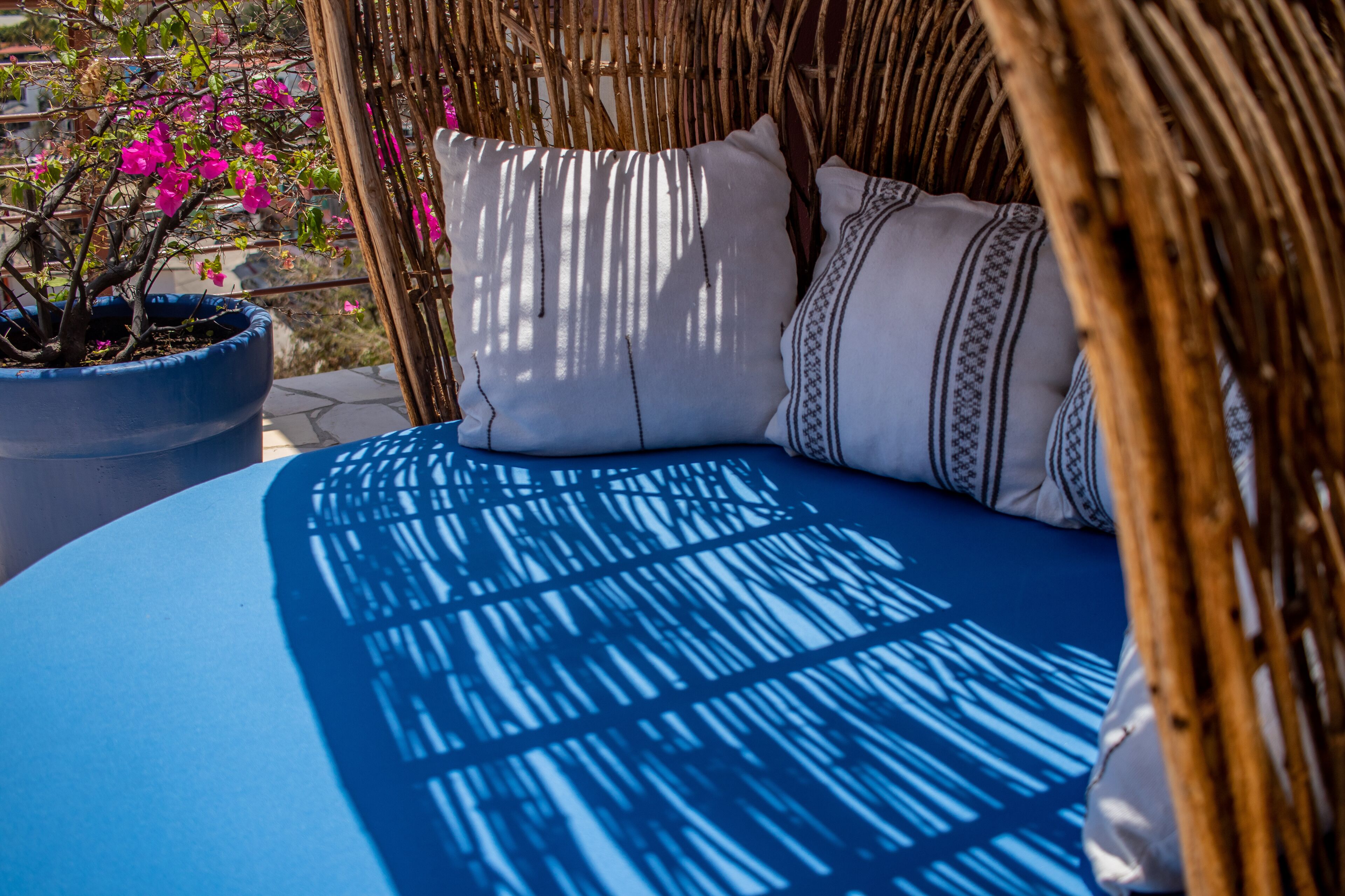 A wicker chair with a blue cushion, a potted plant with pink flowers, and a patterned pillow.
