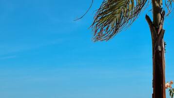 Una playa cerca