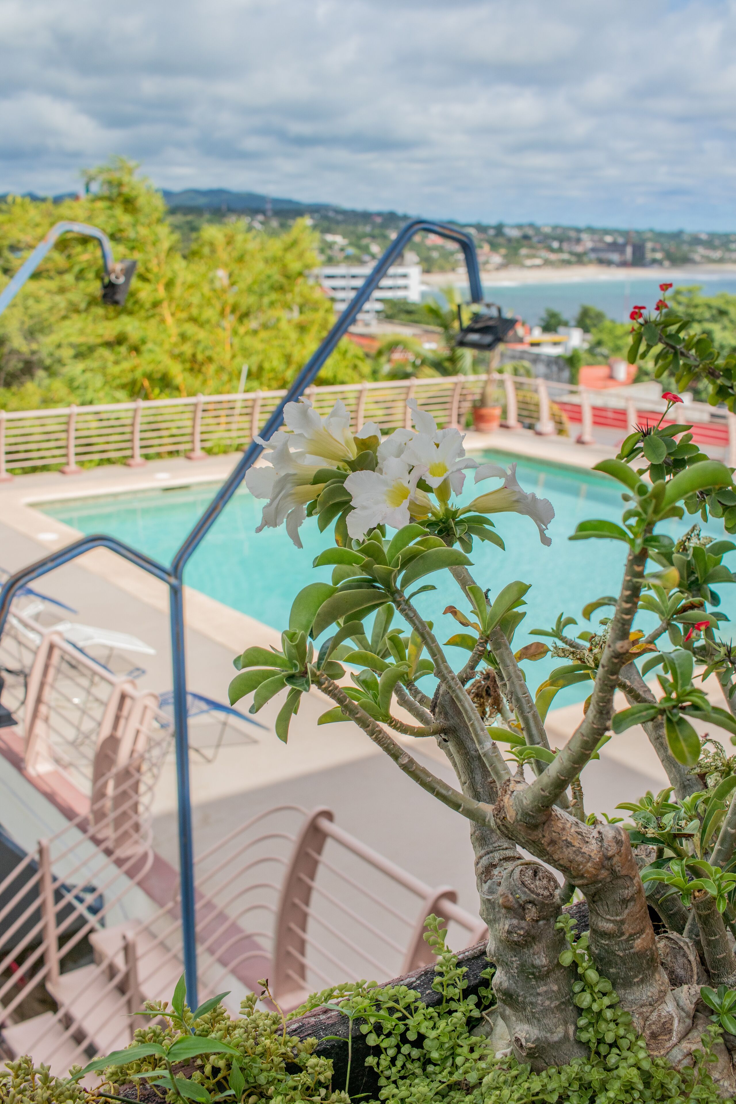 A pool area with a view of the ocean, surrounded by greenery and a railing.