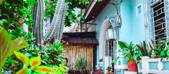 Aluna Hostel B&B