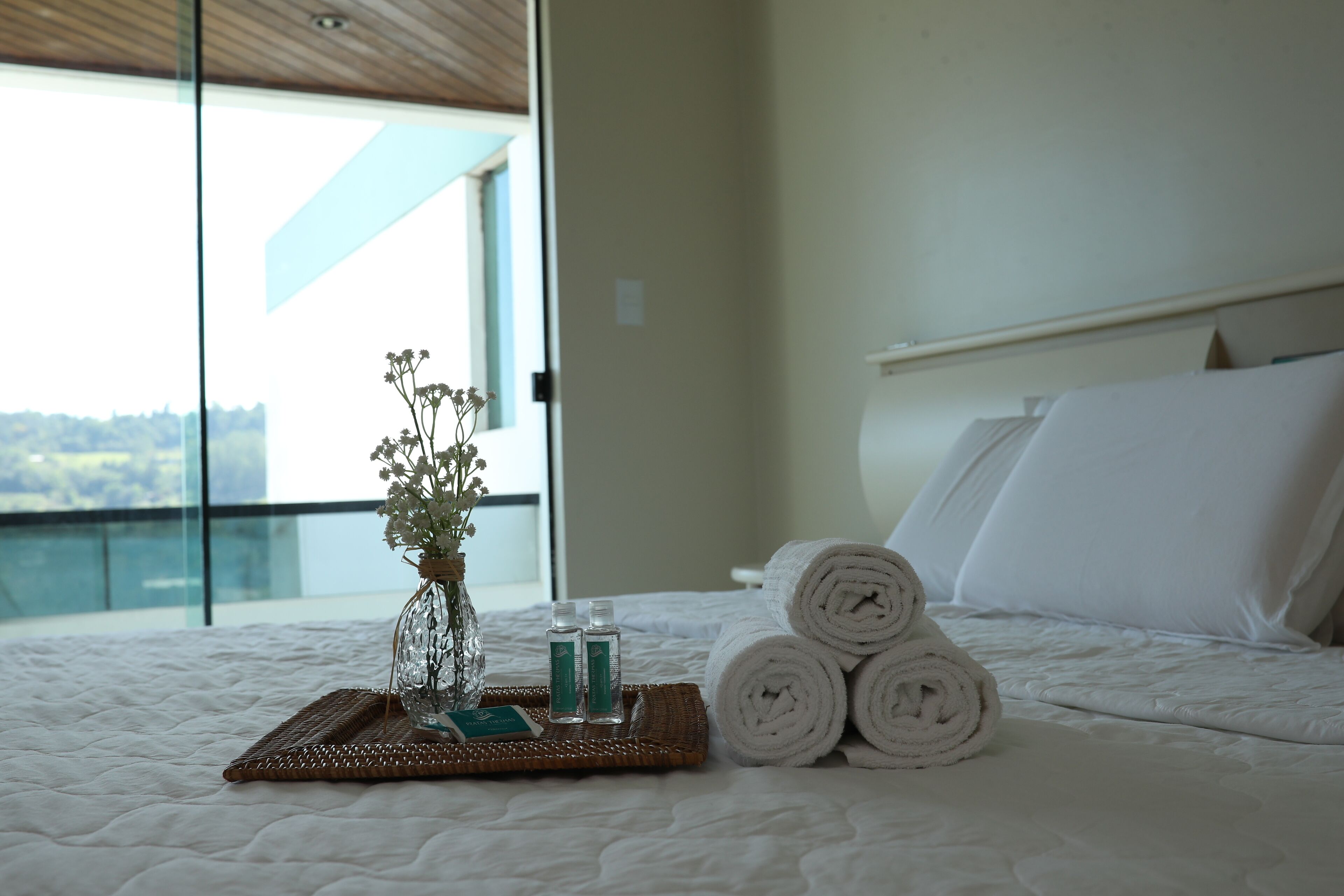 Premium Double Room | View from room